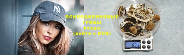 ешки Алексин