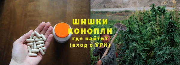 гидра Алексеевка